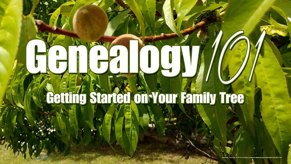 Genealogy 101: Getting Started on Your Family Tree