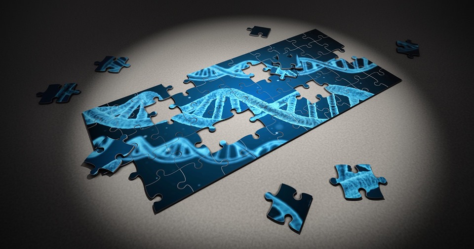 DNA Interest Group